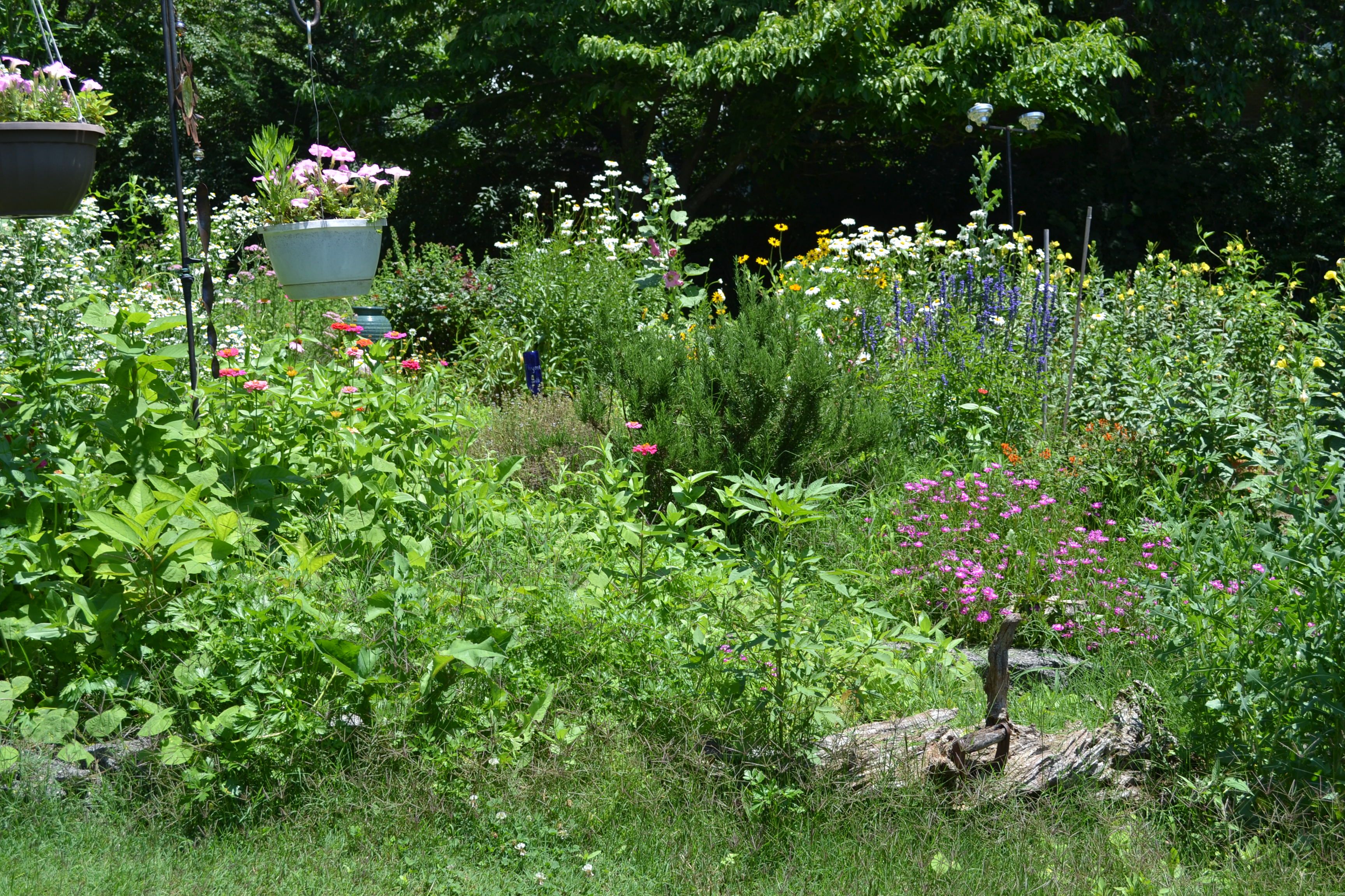 English Garden Ideas