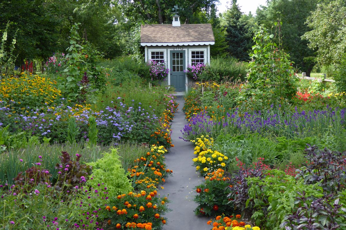 A Wildflower Cottage Garden Lovely Greens