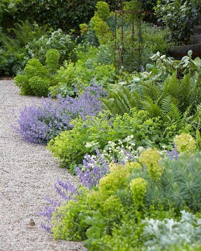 An Herb Garden