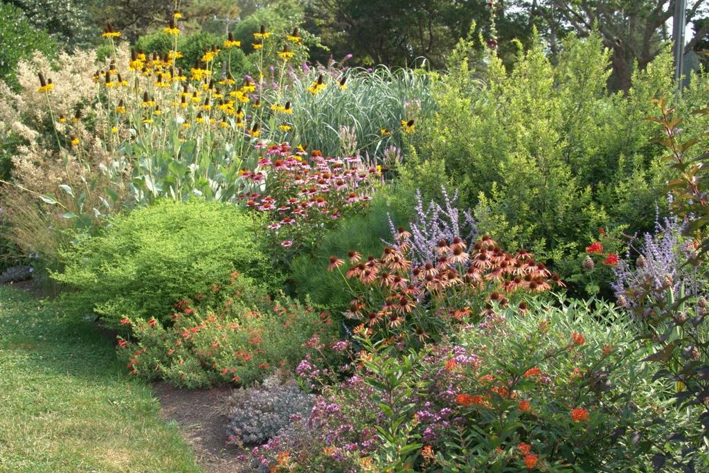 Whiteflowergarden
