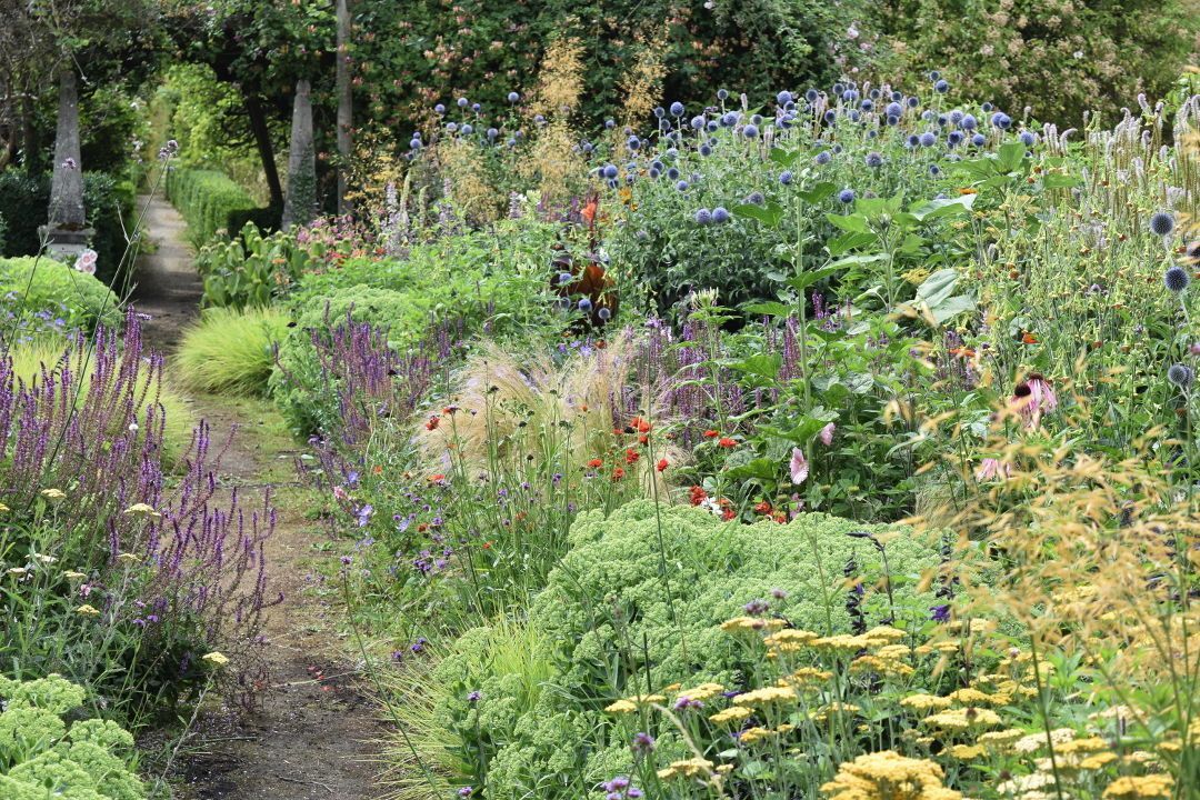 Wildflower Garden Wildflower Garden