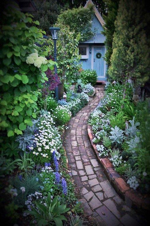 Beautiful Vegetable Garden