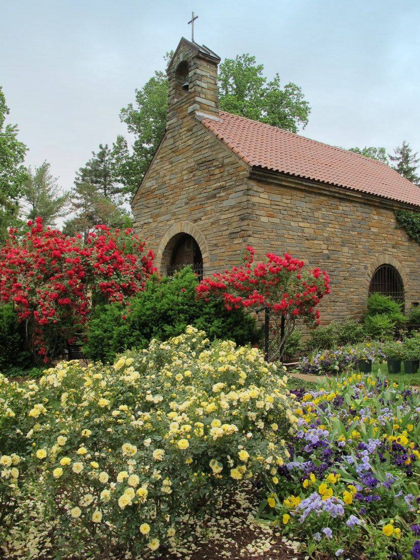 A Potager Garden