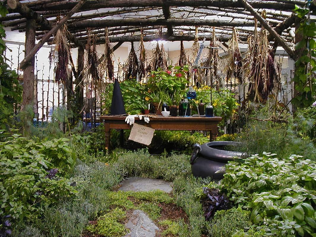 Best Witches Garden Images