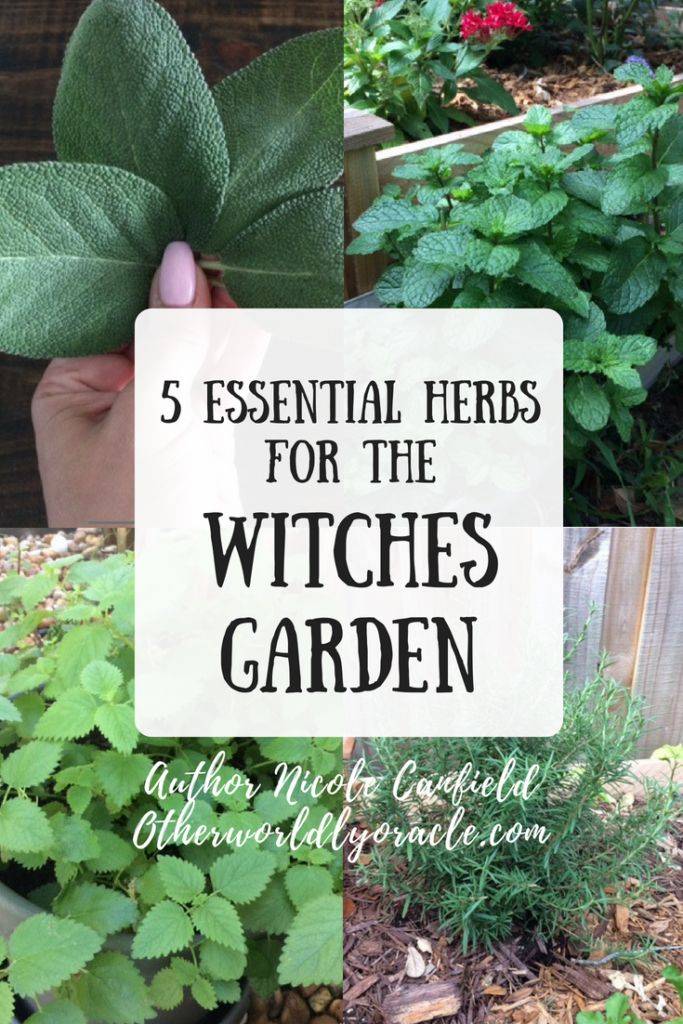 Ideas Garden Herb Witches