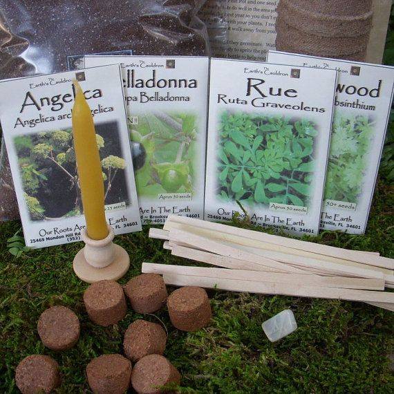Five Essential Culinary Herbs