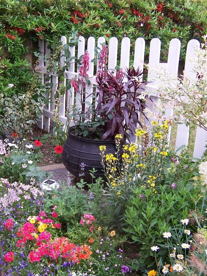 Garden Witchy Garden