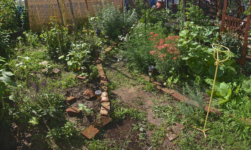 A Witchs Garden Exemplore Paranormal