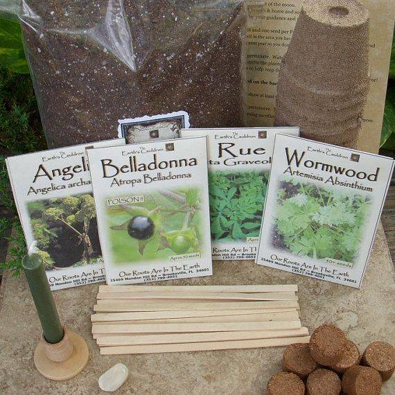 A Witchs Garden Exemplore Paranormal