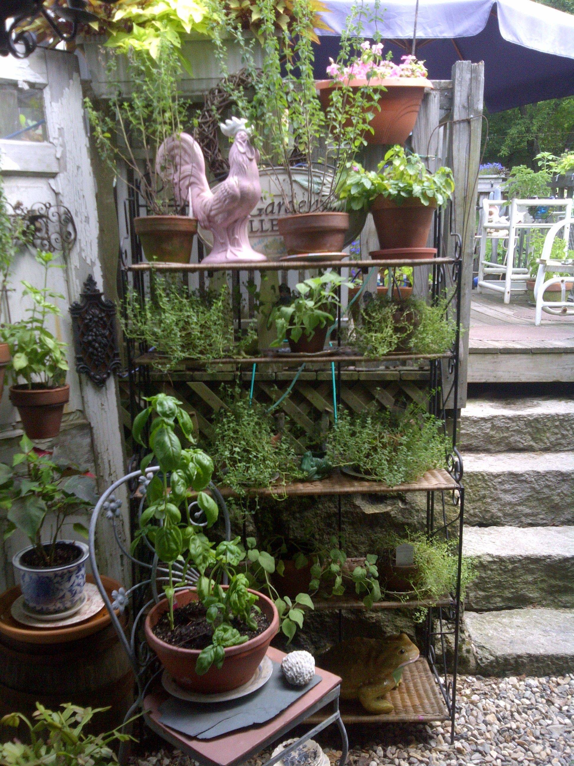 The Chapel Witch Garden