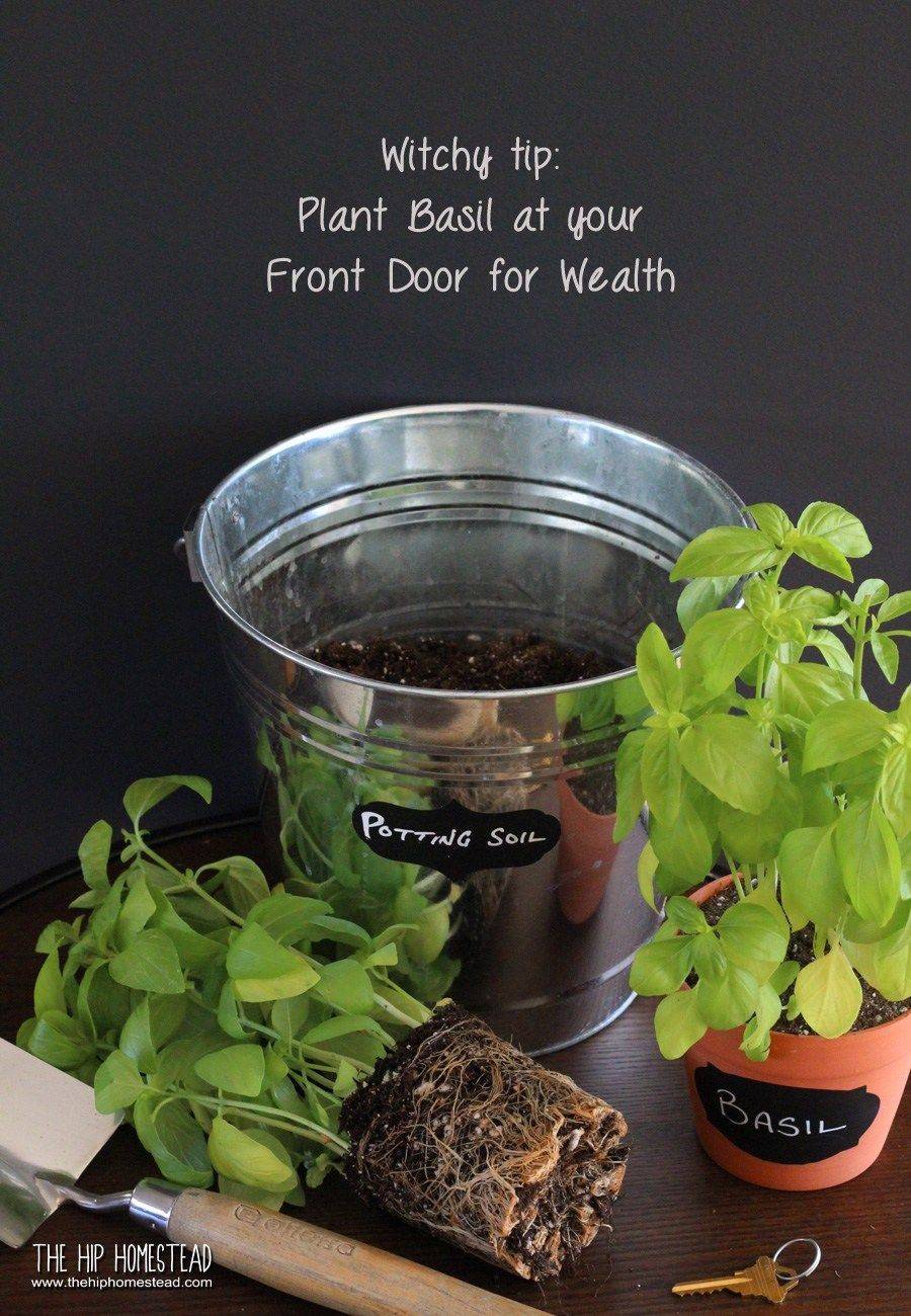 20 Witches Herb Garden Ideas You Cannot Miss SharonSable