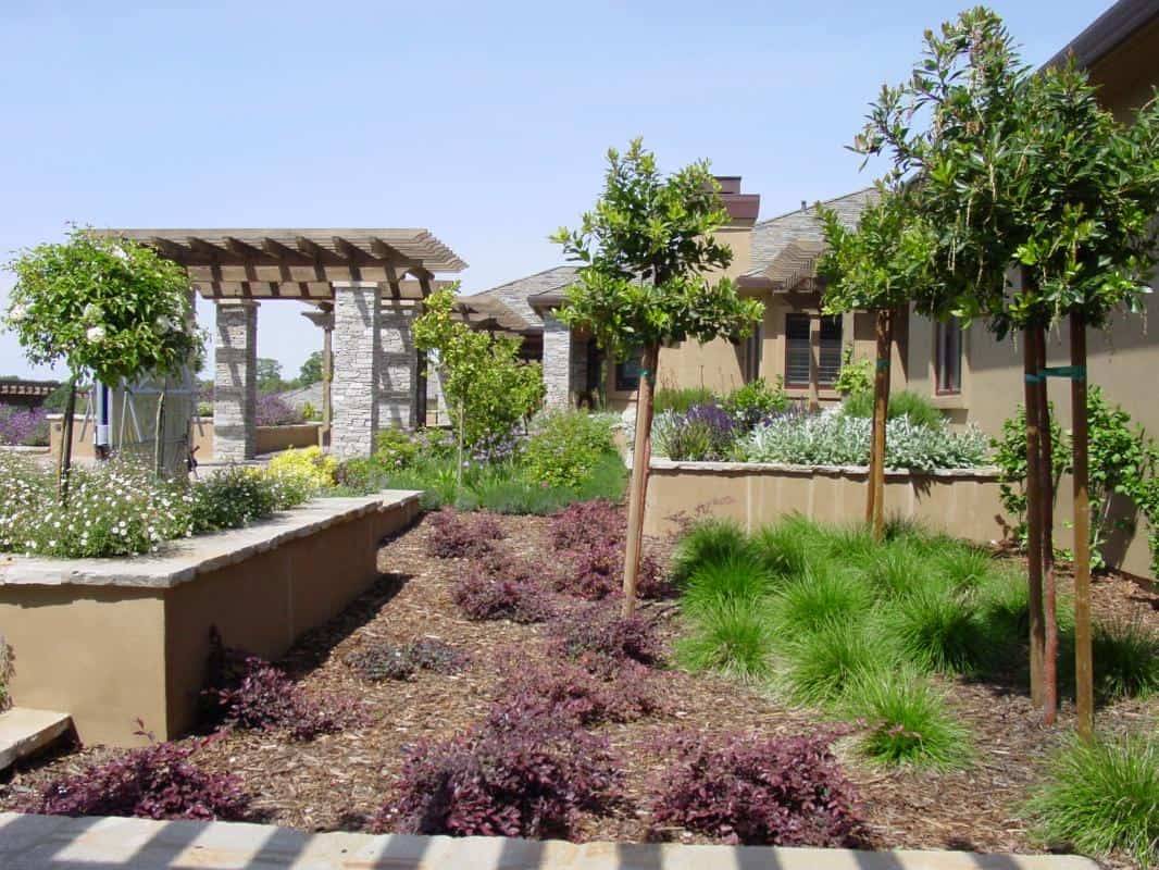 Small Mediterranean Garden Ideas