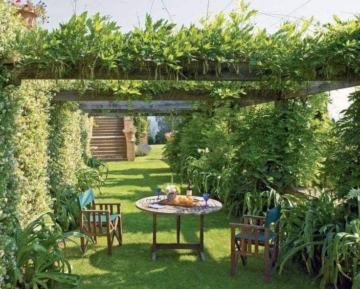 Hydrangea Landscaping Google Search Small Courtyard Gardens