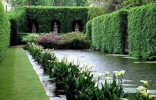 Pinterest Yard Design