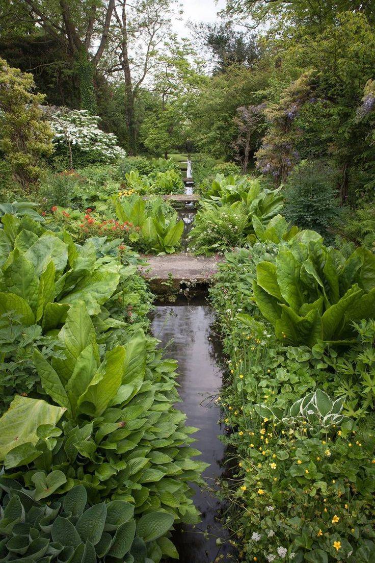 Shute House Garden Dorset