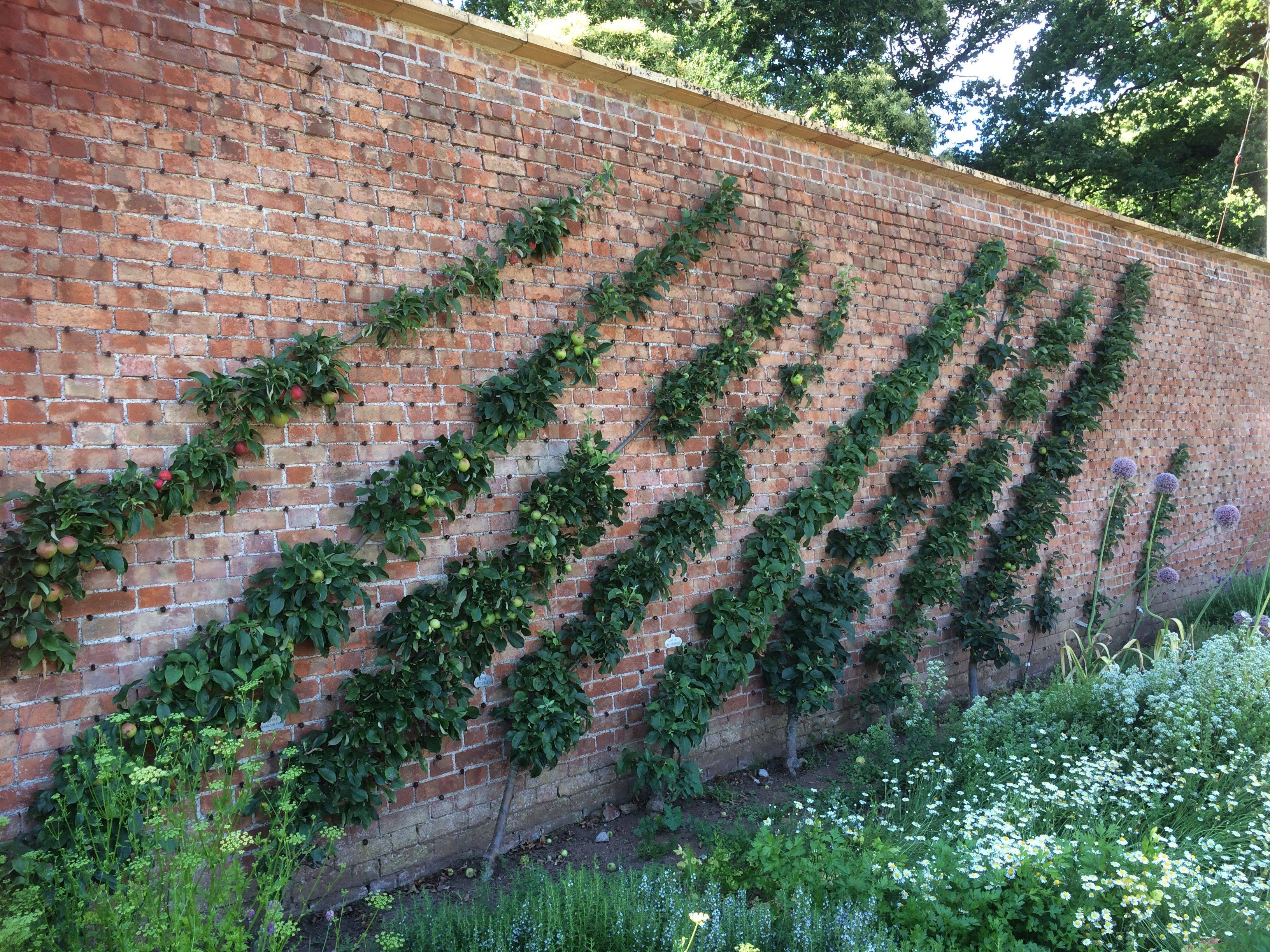 Cliveden Parks