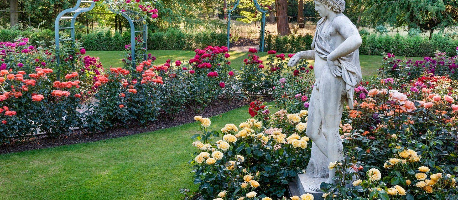 Pin On Gardens