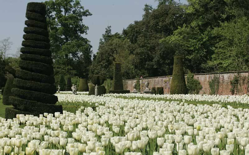 The Long Garden Cliveden