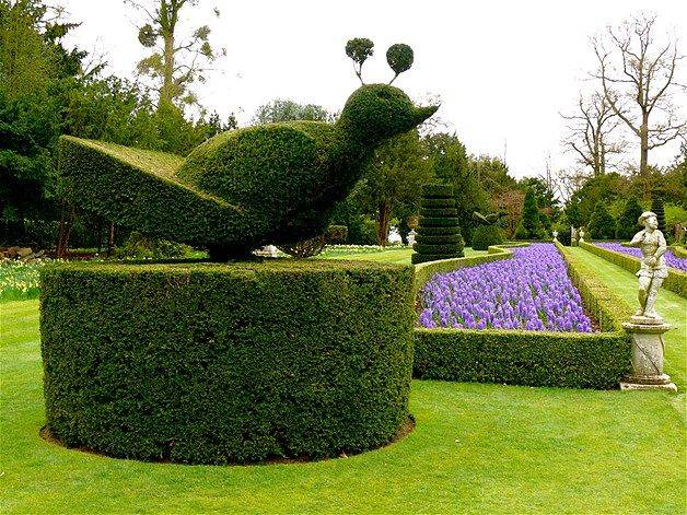 Buckinghamshire Buckinghamshire Dream Garden