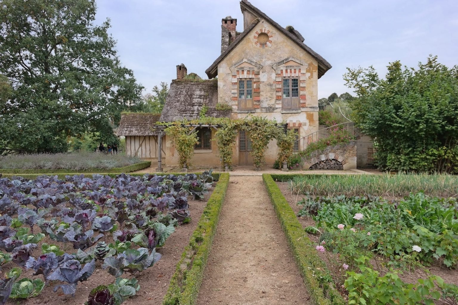 Garden Inspiration