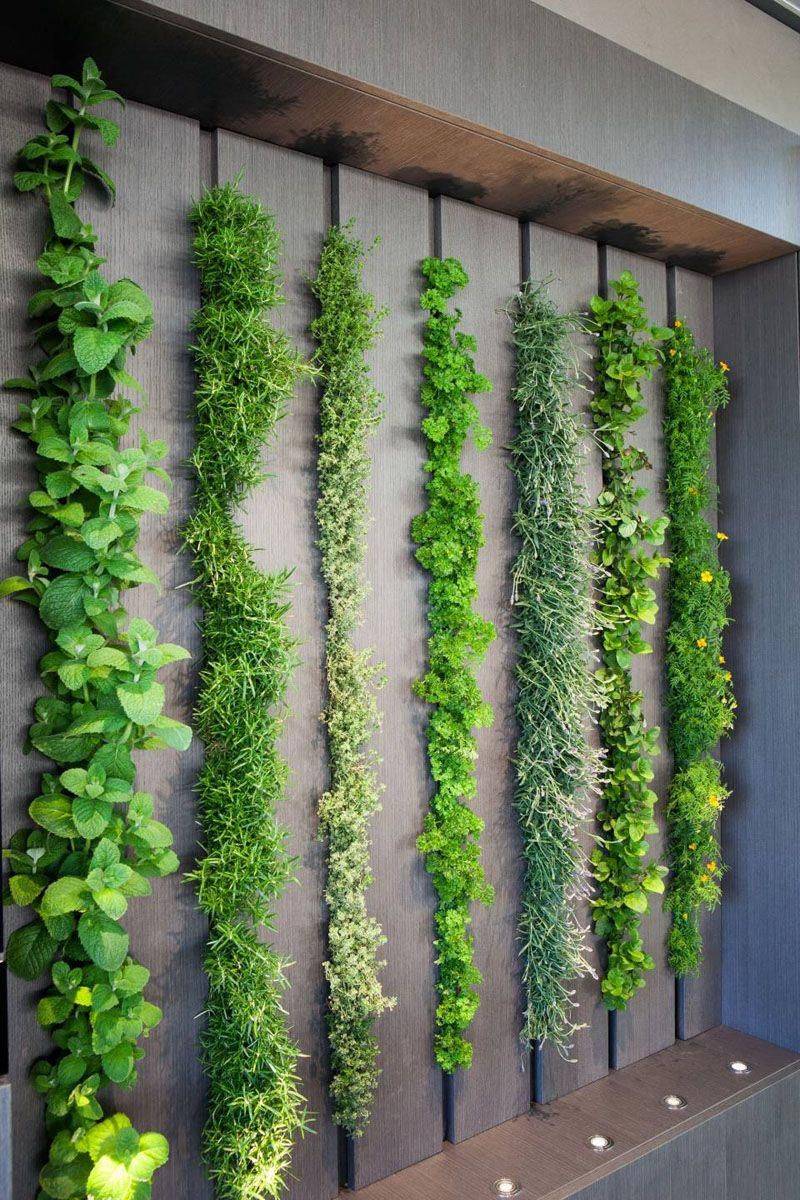 Diy Herb Wall Garden