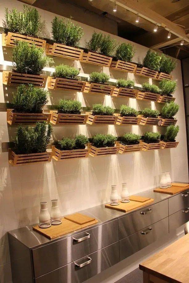 Stunning Indoor Wall Herb Garden Ideas