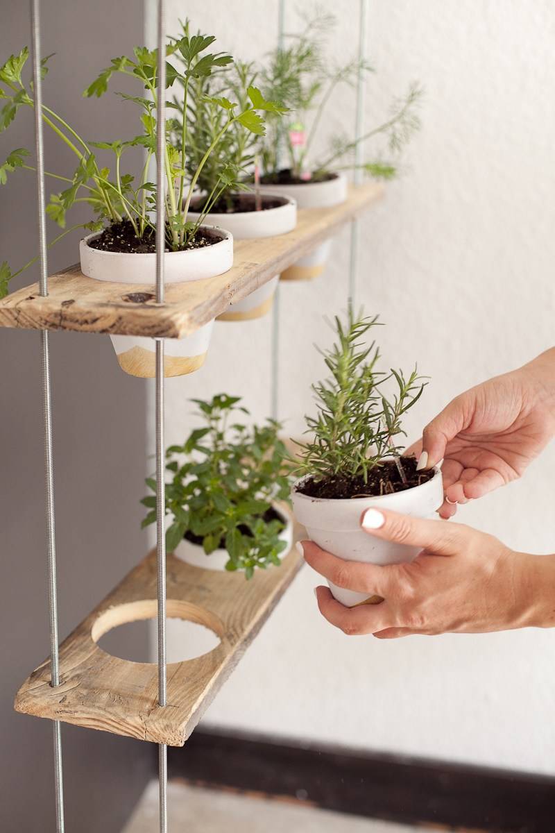 Herb Garden Indoor Design Ideas