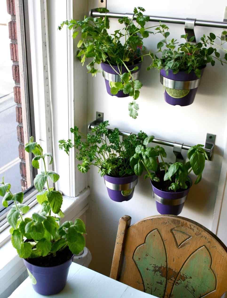 Vertical Garden Ideas