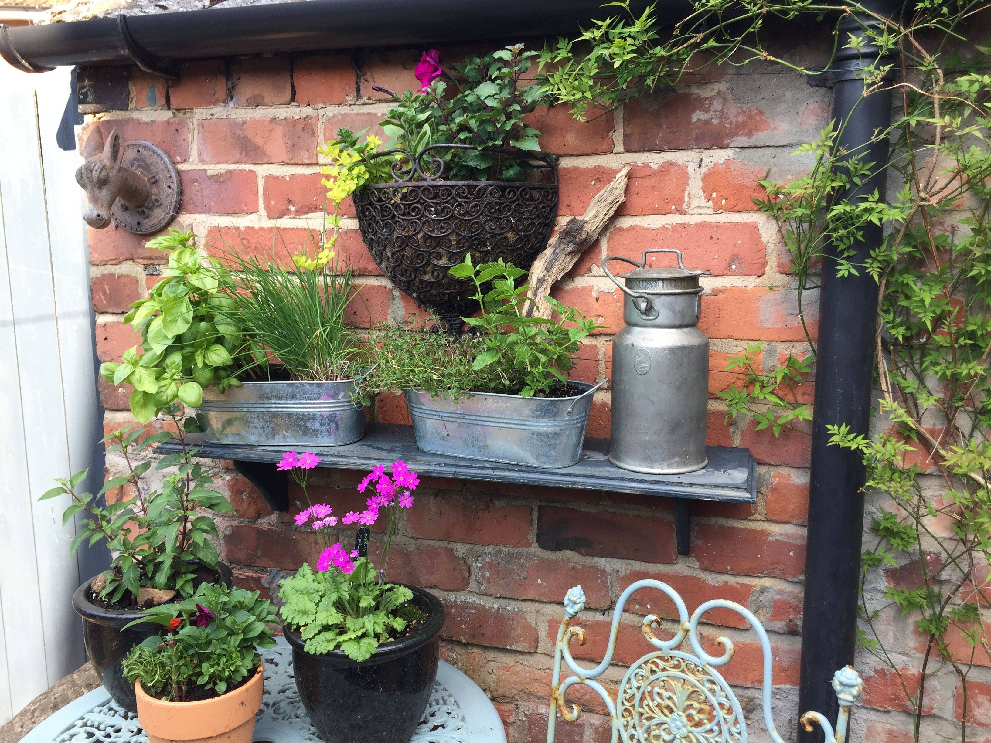 Genius Small Garden Design Ideas