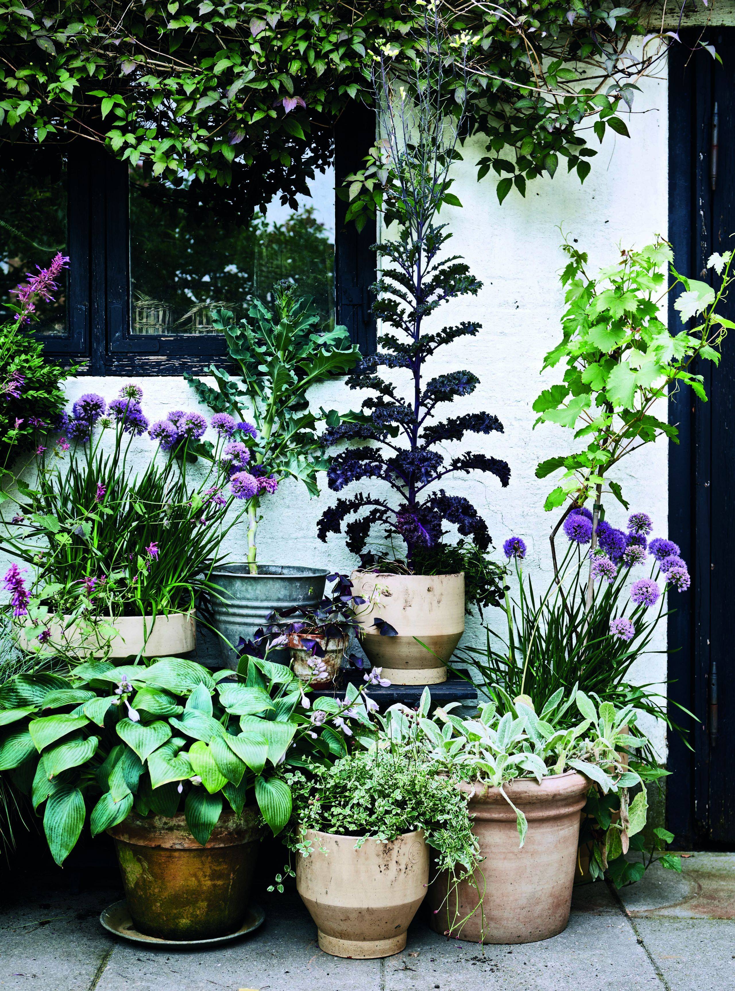 Balcony Patio And Courtyard Gardening In With Images Small