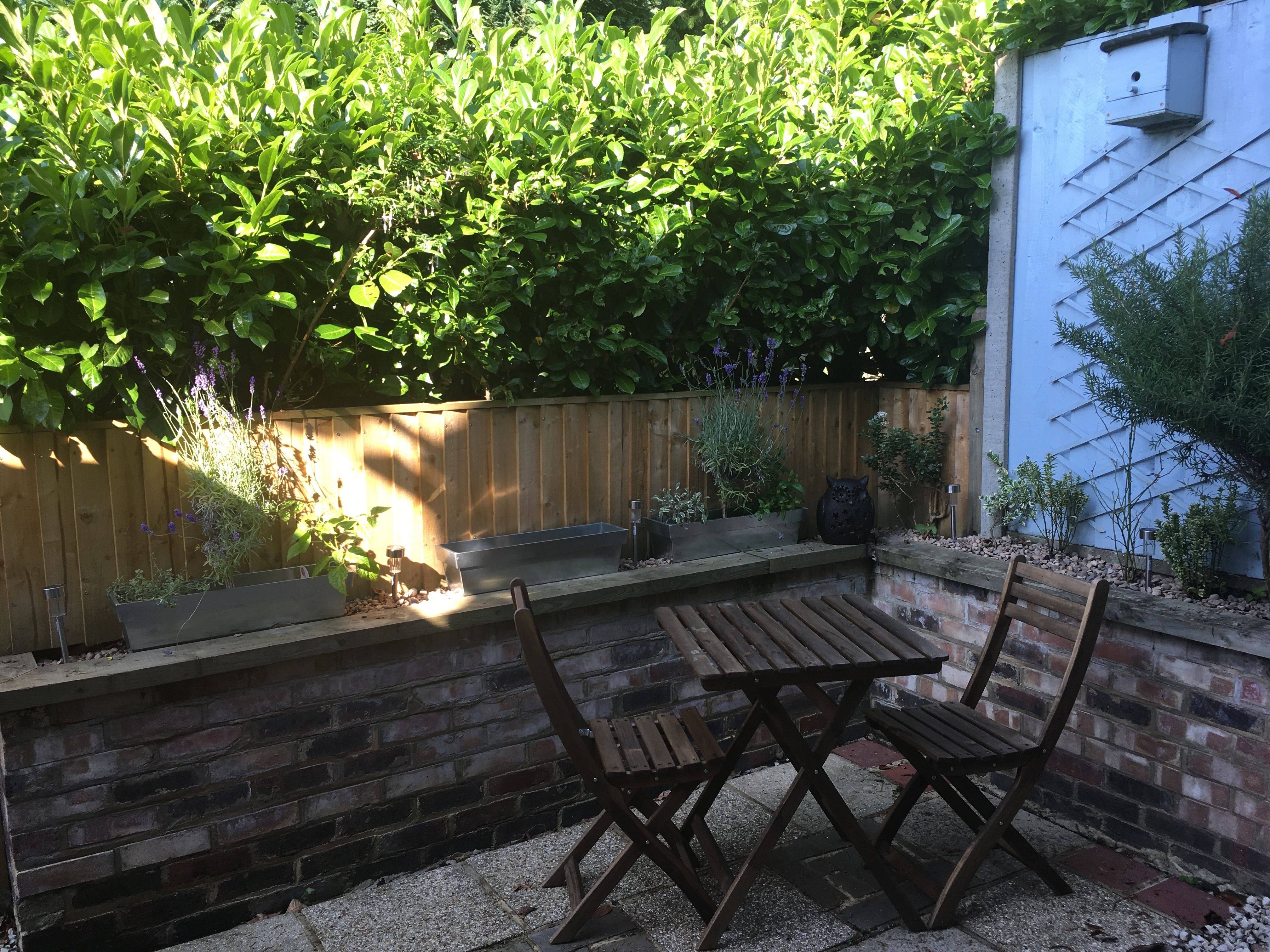 My Courtyard Garden