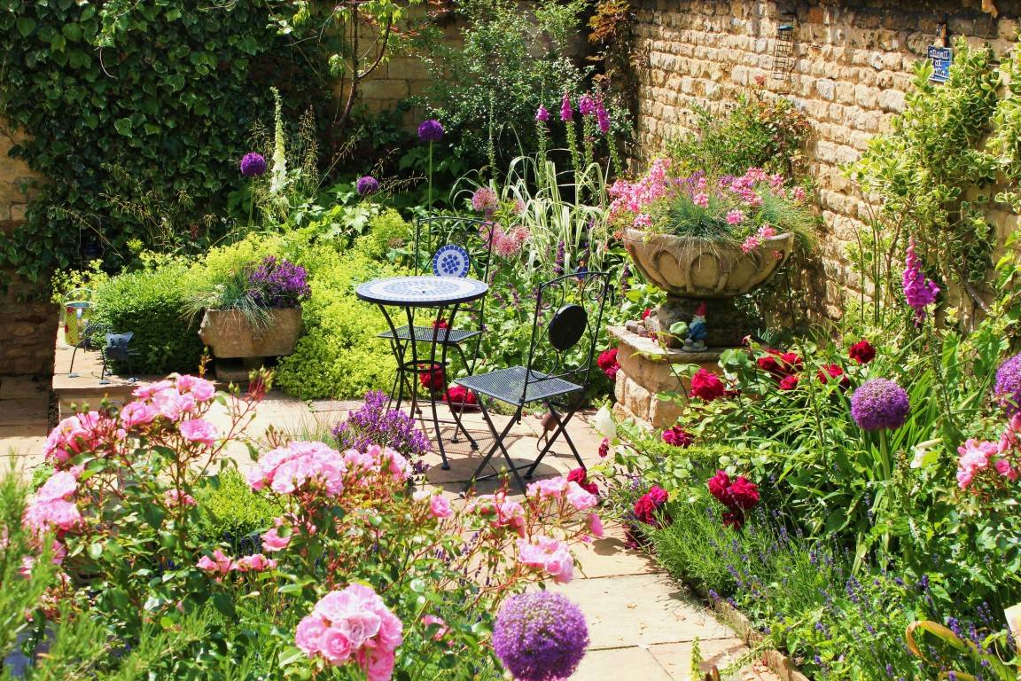 My Courtyard Garden