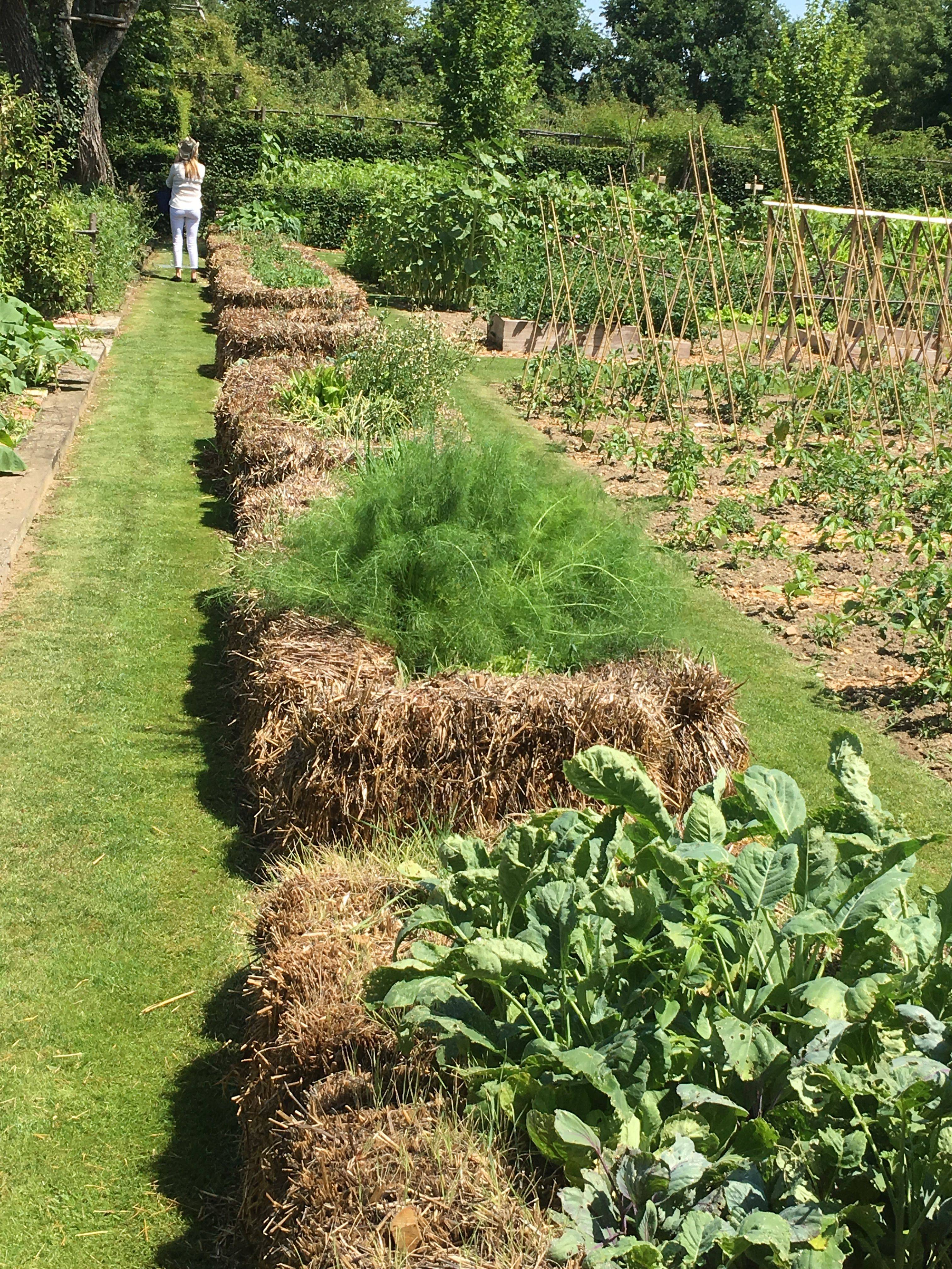 Medieval Gardens Garden Planning