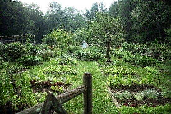 Garden Inspiration