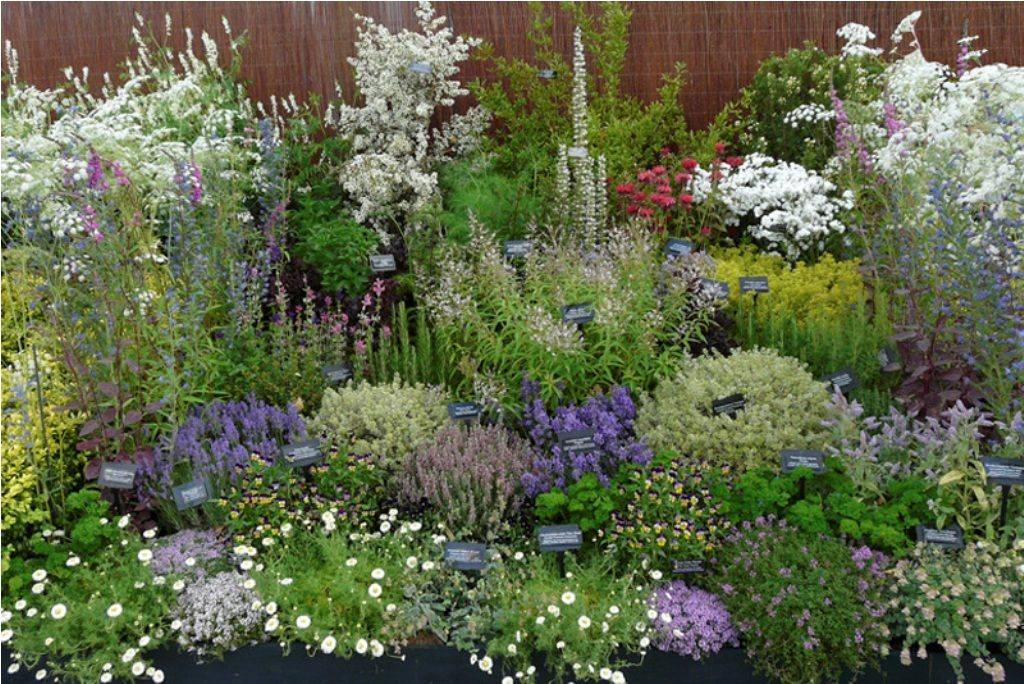 A Potager Herb Garden Herb Garden Design