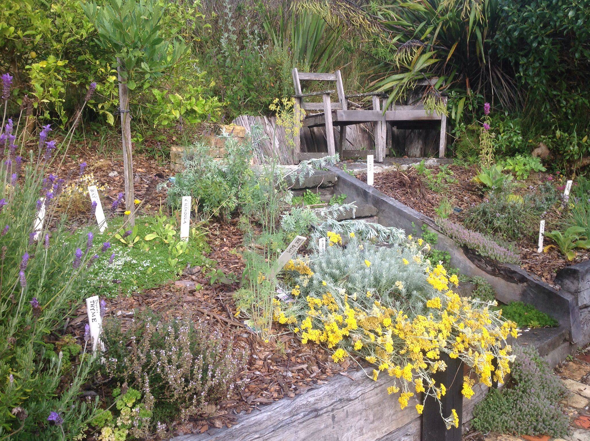 Herb Garden