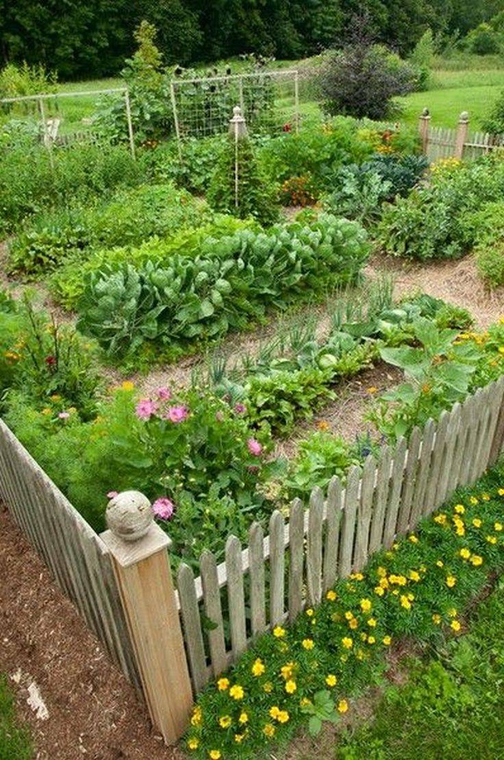 Outdoor Herb Garden