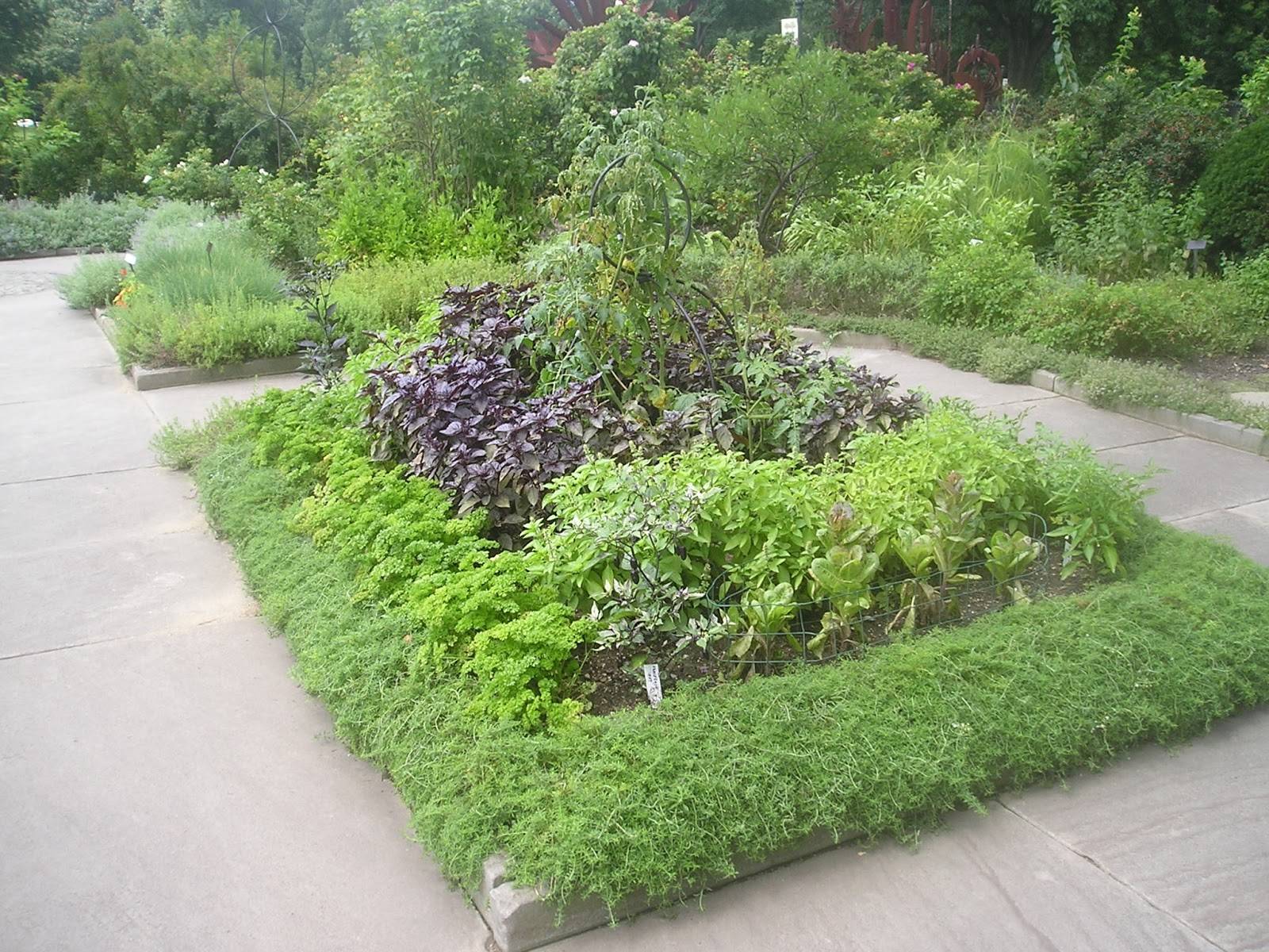 Outdoor Herb Garden
