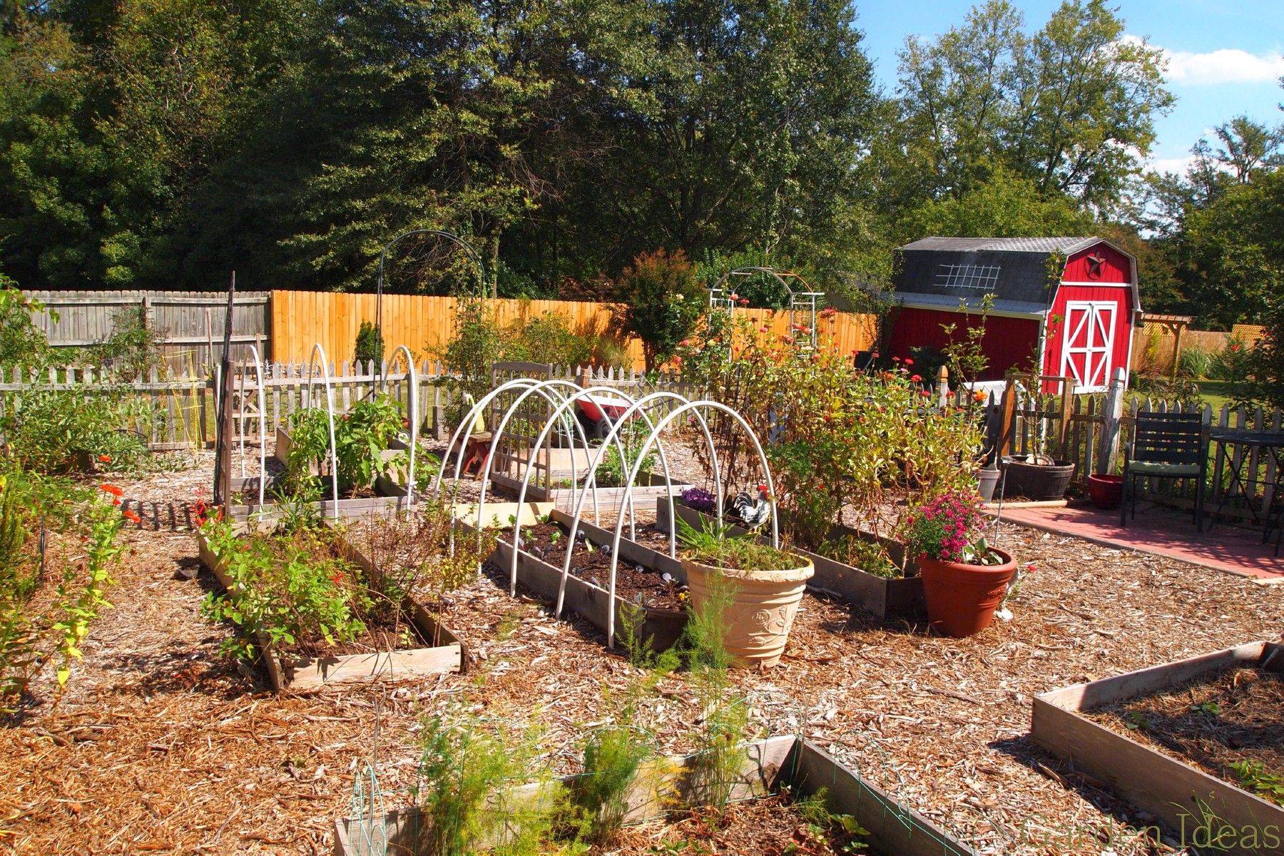 Backyard Vegetable Garden Backyard Vegetable Gardens