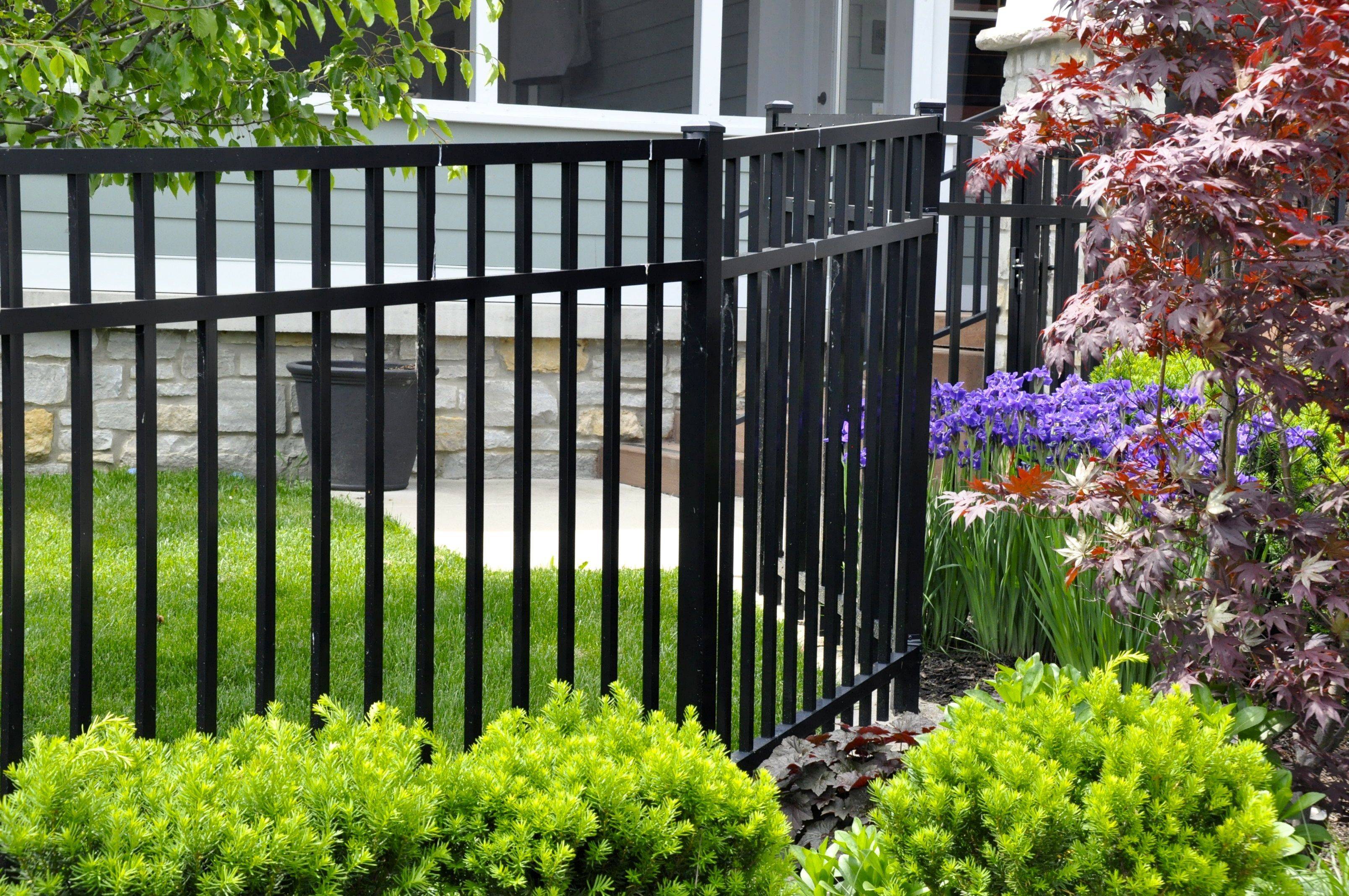 Vast Simple And Cheap Privacy Fence Design Ideas Metal Garden