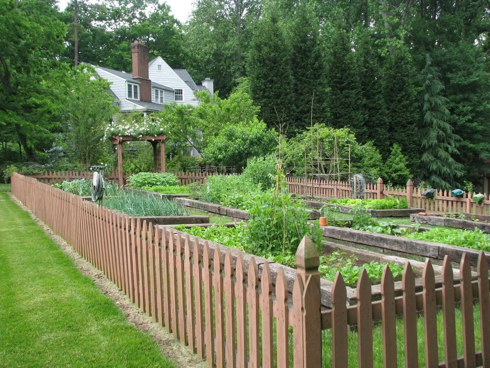 Best Inexpensive Decorative Vegetable Garden Fencing Ideas