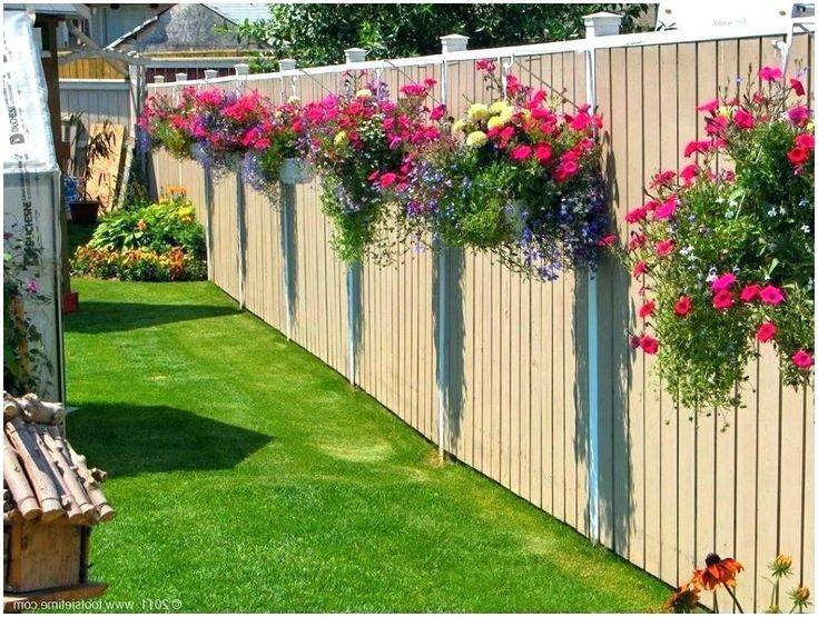 A Small Raised Border
