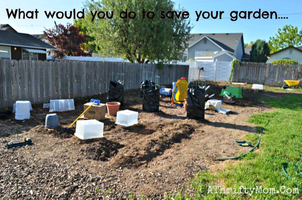 Feys Redneck Garden Project Massivecraft Forums