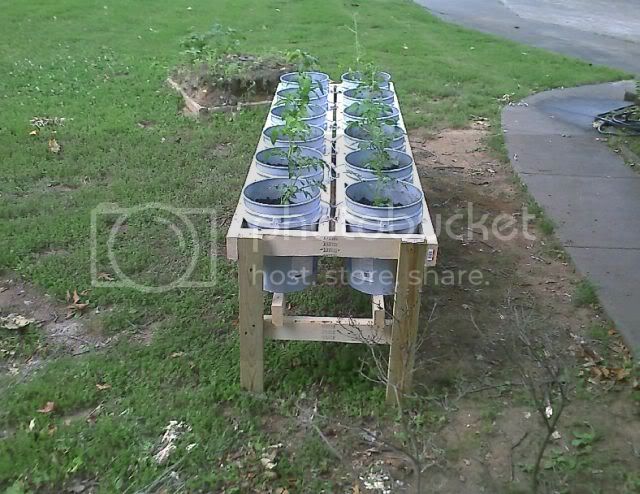 Debbies Redneck Mansion Backyard