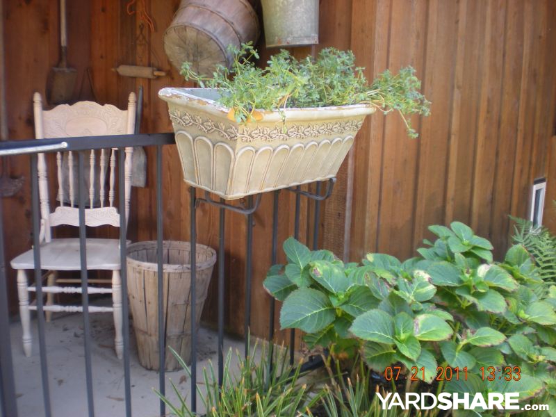 Pin On Gardening