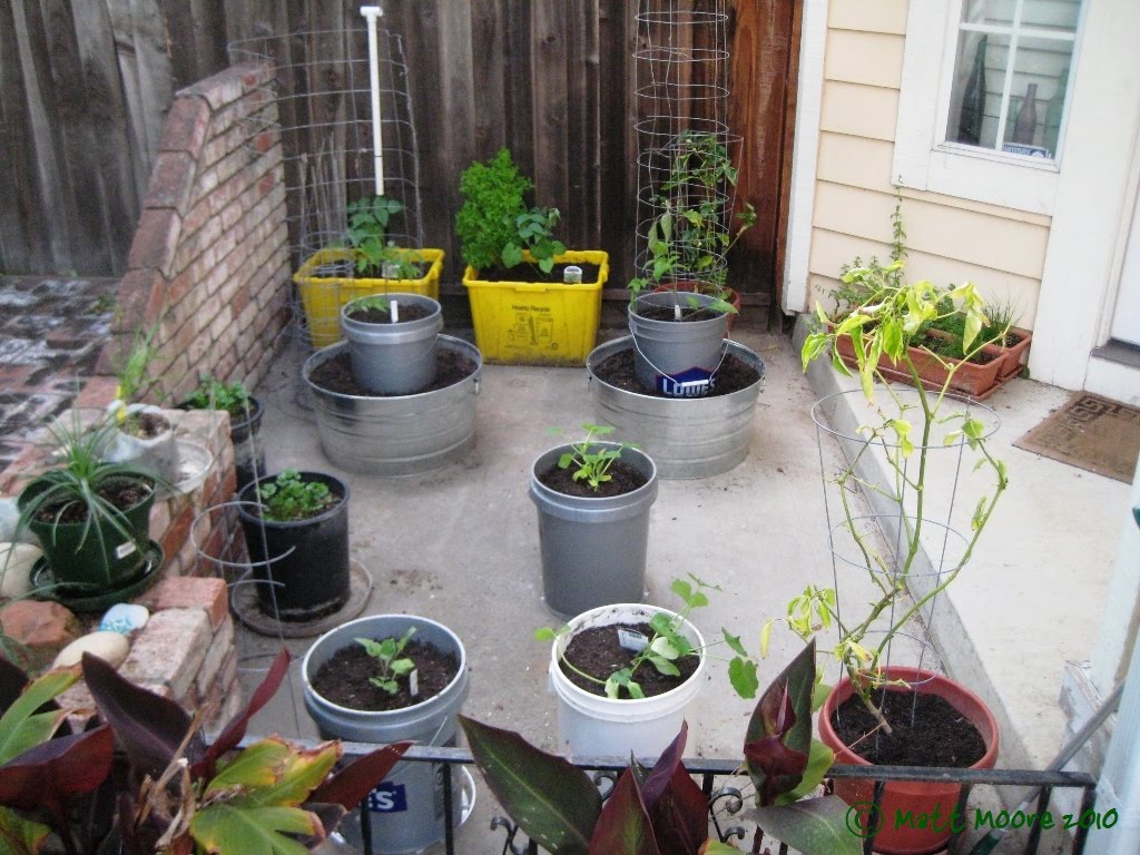Pin On Gardening