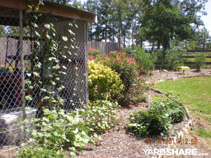 Pin On Gardening