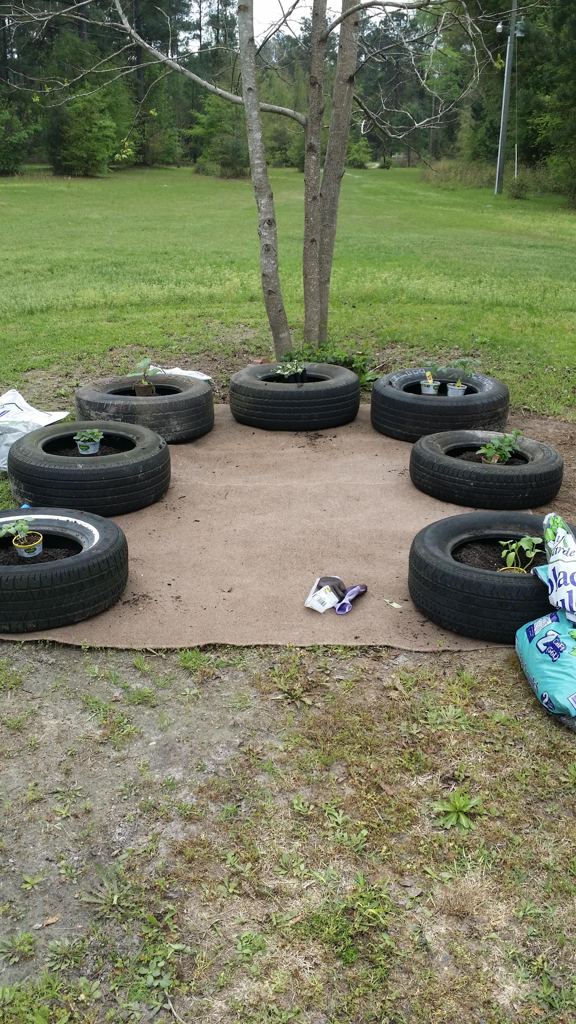 My Little Redneck Garden