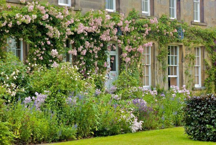 Your Gardening Info Modern Garden