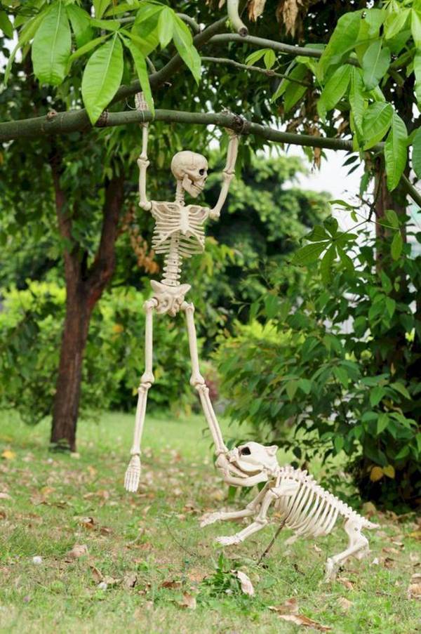 Five Fanciful Fun Fairy Garden Ideas
